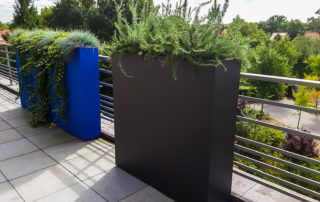 kleur6