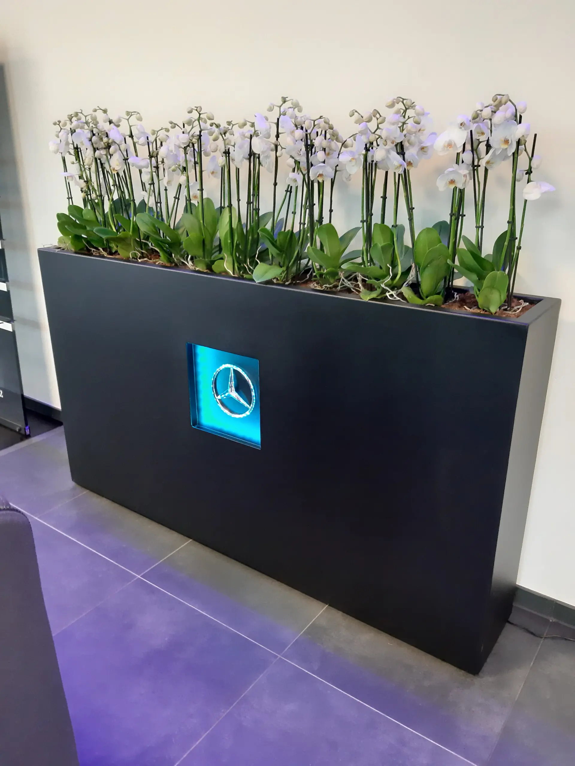 logo_in_plantenbak